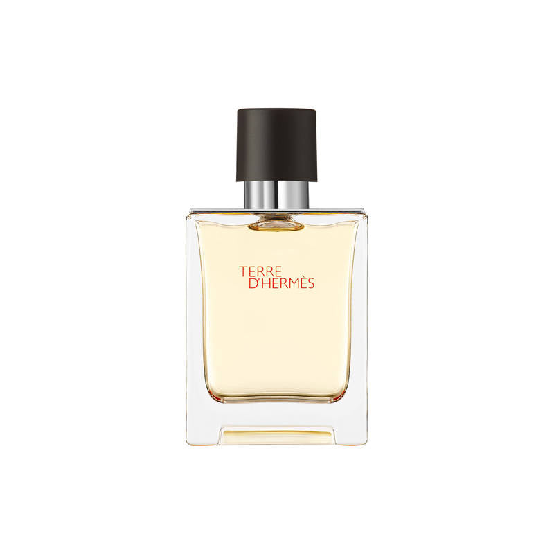 Hermès Terre d'Hermès Eau de Toilette 100ml