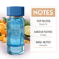 BIRRA Tranquil Waters Eau De Parfum, Fresh Aquatic Citrus Scent, Long-Lasting Natural Spray, 100ml