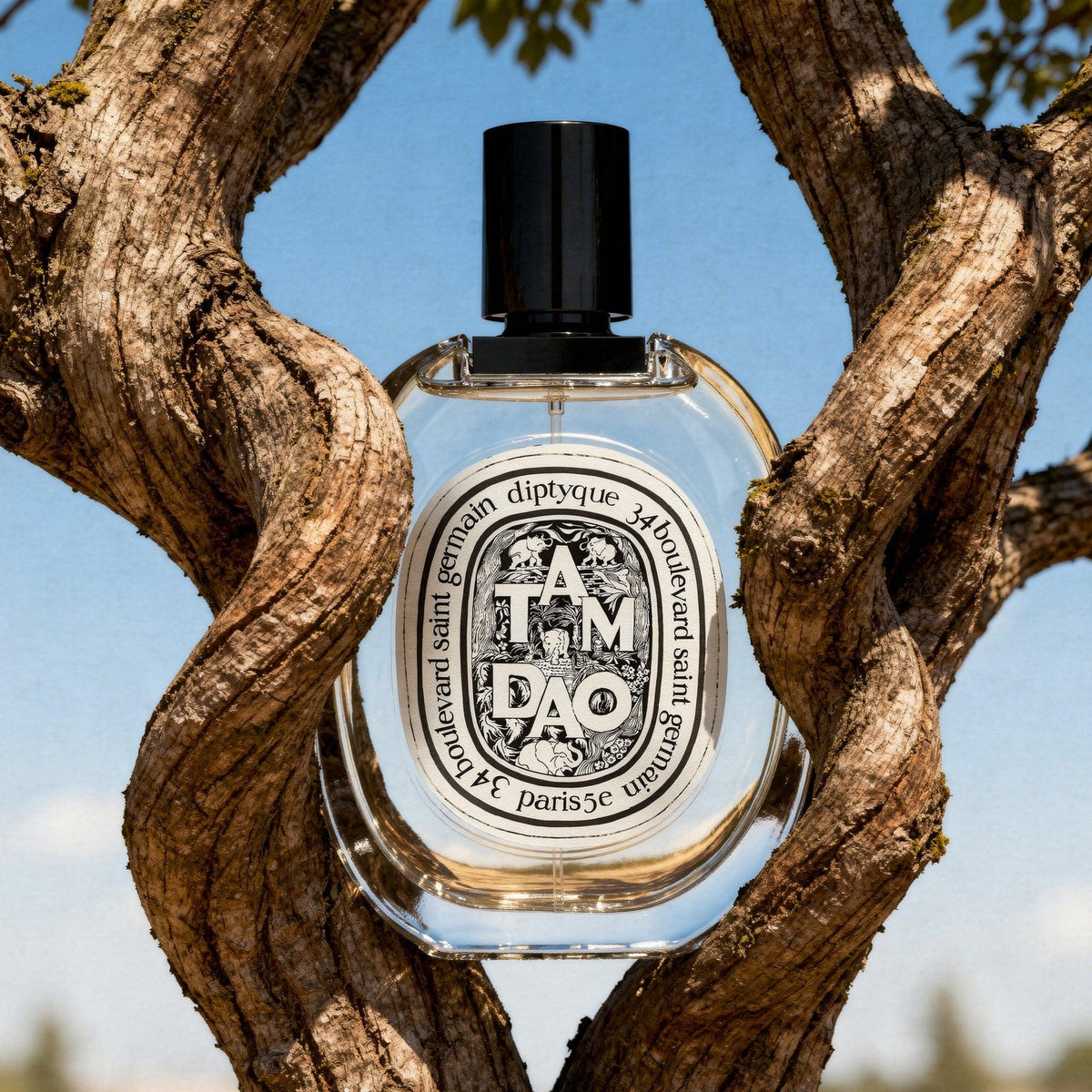Diptyque Tam Dao Eau de Parfum